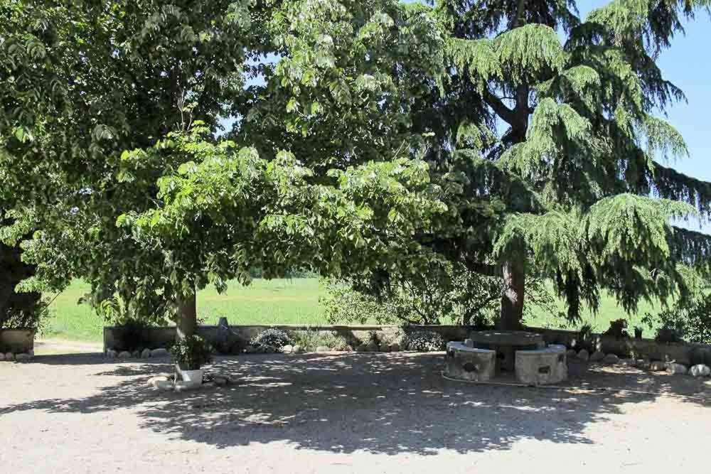 Masía Can Riqué En Vilobí Donyar Villa Gerona